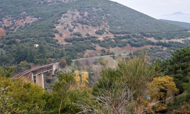 Ο Γοργοπόταμος στην Αλαμάνα…